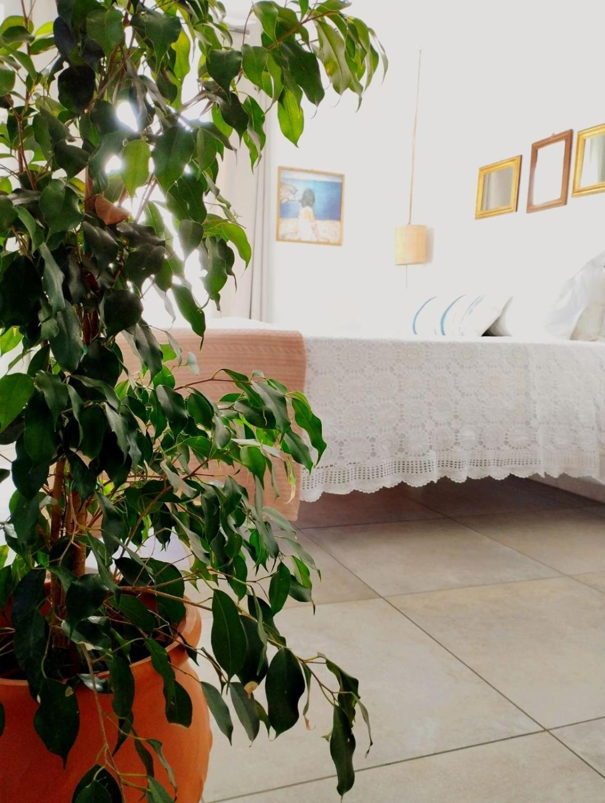Ammoudara'S Apartments Rooftop Kálymnos Екстериор снимка